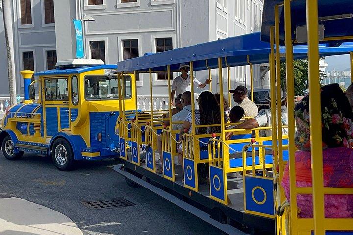 San Juan Trolley and Sightseeing Tour