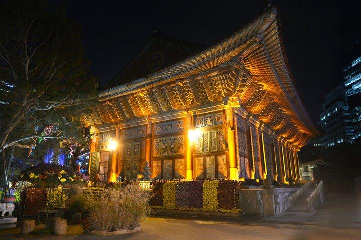 Night Flexible Private Guided Tour In Seoul(Optional layover)