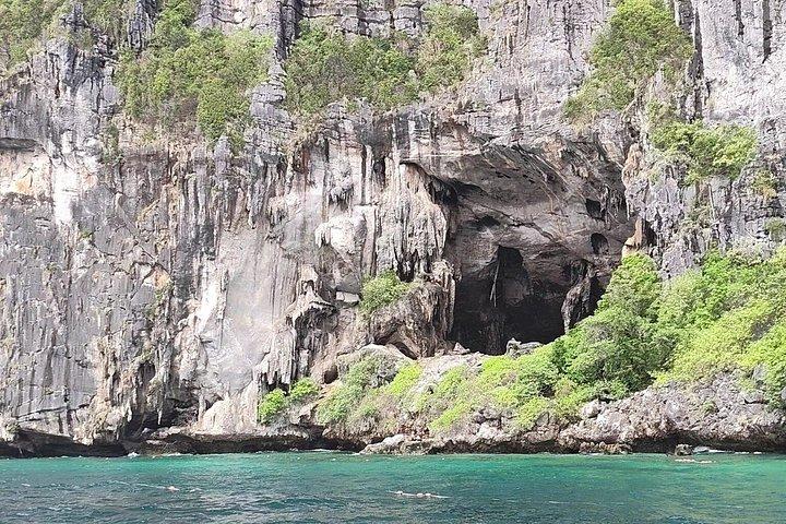 Shark Snorkeling in Phi Phi Islands Join Trip Longtail Boat
