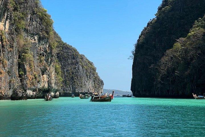 Shark Snorkeling in Phi Phi Islands Join Trip Longtail Boat