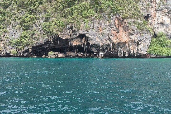 Shark Snorkeling in Phi Phi Islands Join Trip Longtail Boat