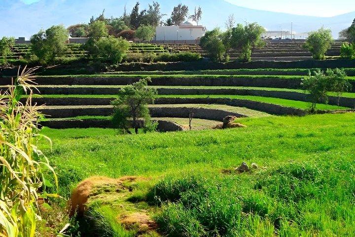 ペルー、アレキパのプレ・インカ時代と植民地時代の驚異を訪れよう