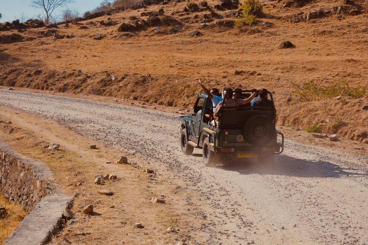 Private Tagestour zur Ranthambore Tiger Safari von Jaipur