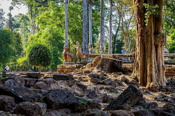 Explore Angkor Wat Temple , Bayon Temple and Jungle Temple Ta-Prohm