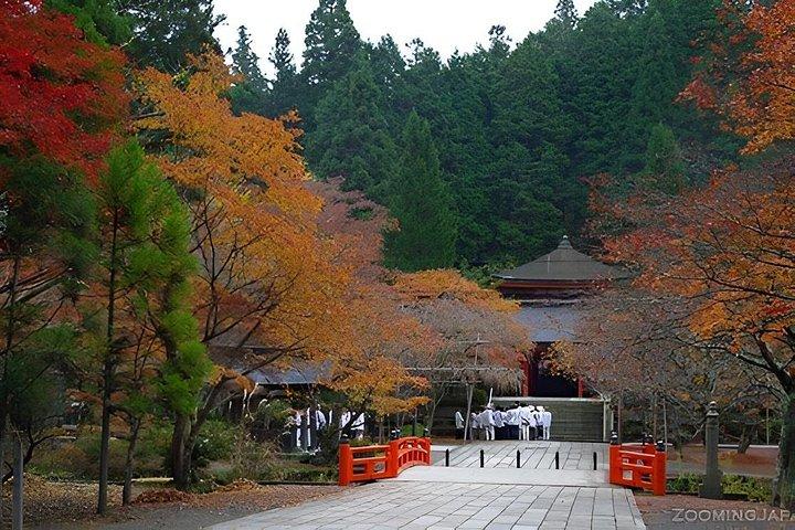 Explore Mount Koya, Nachi Falls & Wakayama