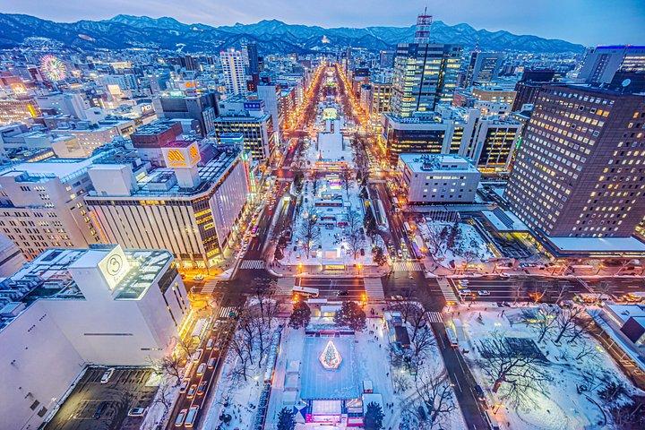 Sapporo Full-Day Private City Tour