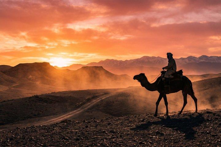 Marrakech Agafay Desert Dinner Quadbiking Sunset Camel Ride