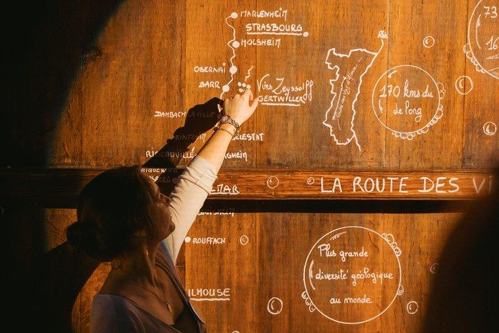 Immersive cellar tour, tasting and picnic basket