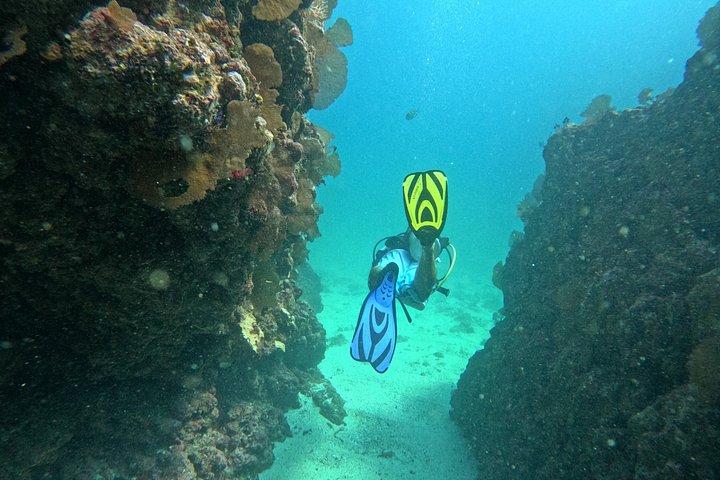 スキューバダイビングプエルトバジャルタ海底アルコスまたはマリエタス