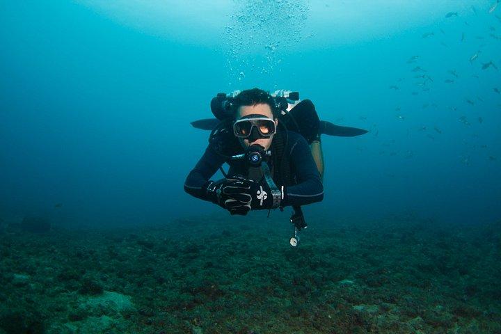 スキューバダイビングプエルトバジャルタ海底アルコスまたはマリエタス