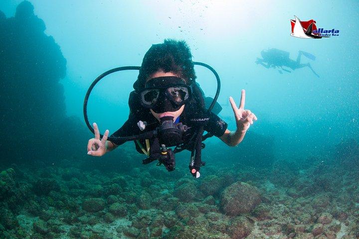 スキューバダイビングプエルトバジャルタ海底アルコスまたはマリエタス