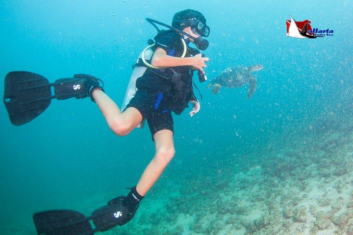 スキューバダイビングプエルトバジャルタ海底アルコスまたはマリエタス