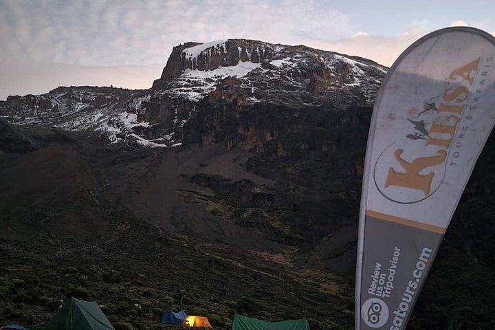 7 days Lemosho route Climbing Mt.Kilimanjaro