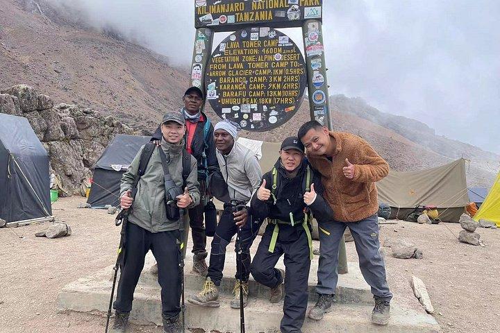 7 days Lemosho route Climbing Mt.Kilimanjaro