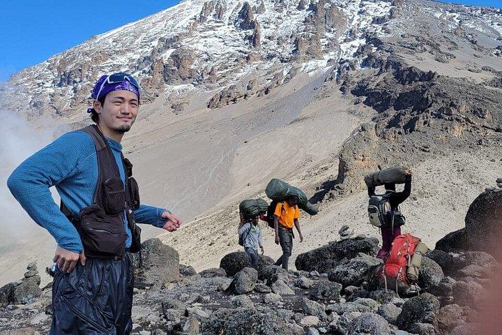 7 days Lemosho route Climbing Mt.Kilimanjaro