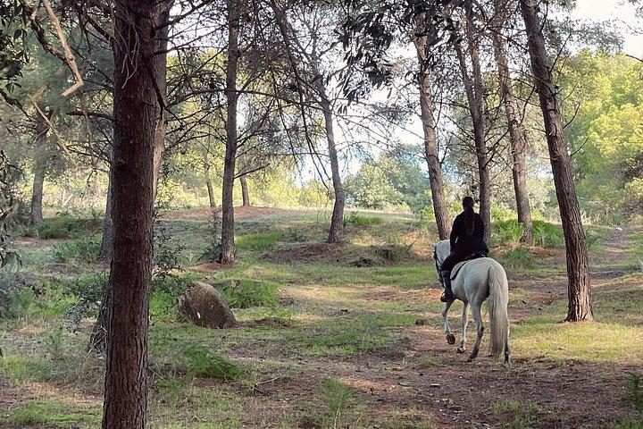 マラガ自然公園を通る乗馬ルート