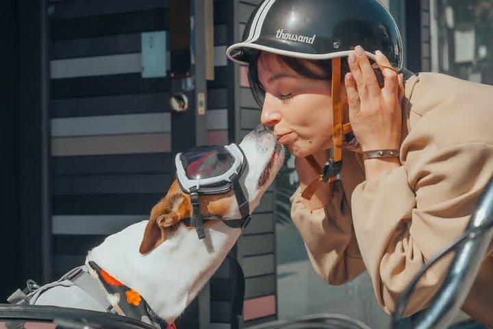 サイドカーガイド付きサンフランシスコ電動自転車ツアー