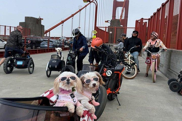 サイドカーガイド付きサンフランシスコ電動自転車ツアー