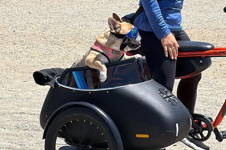 サイドカーガイド付きサンフランシスコ電動自転車ツアー