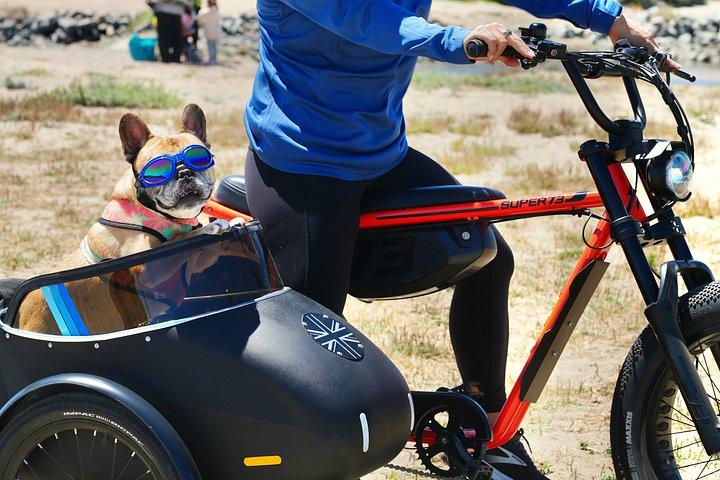 サイドカーガイド付きサンフランシスコ電動自転車ツアー
