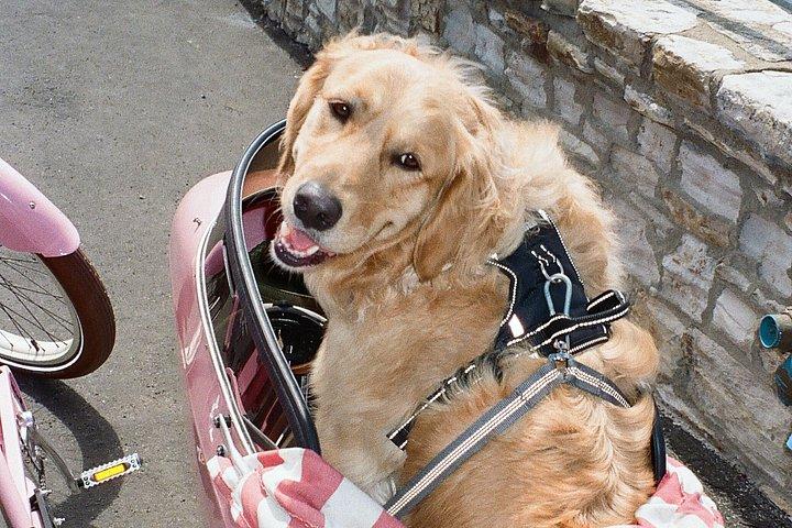 サイドカーガイド付きサンフランシスコ電動自転車ツアー