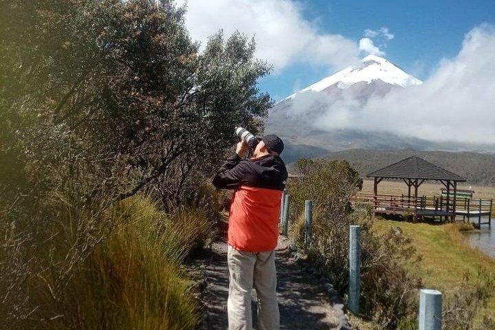 Heldagstur til Cotopaxi-vulkanen og Quilotoa-lagunen
