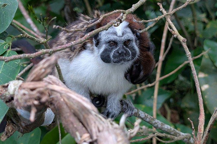 パナマ運河を通ってモンキー諸島への船旅