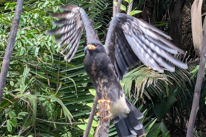 パナマ運河を通ってモンキー諸島への船旅