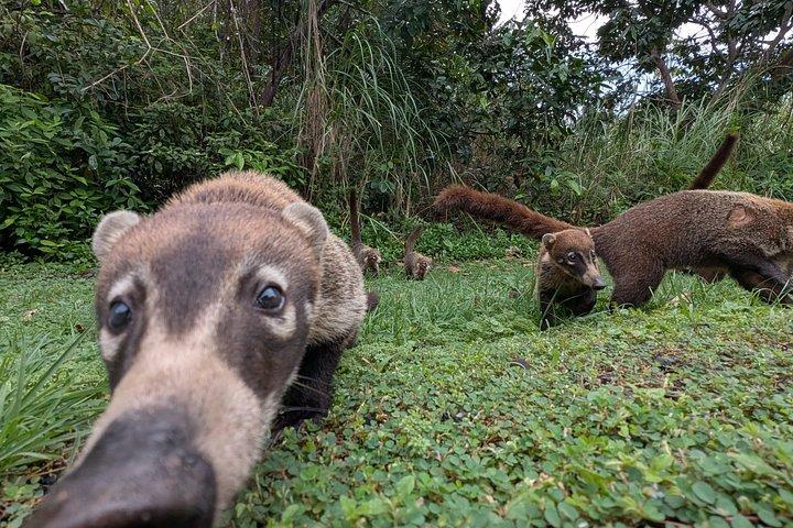 パナマ運河を通ってモンキー諸島への船旅