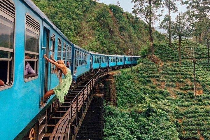 Tour privato di un giorno di Ella con fabbrica di tè e treno all inclusive