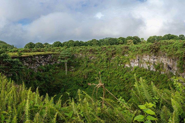 地下アドベンチャー：溶岩トンネルと巨大なカメ