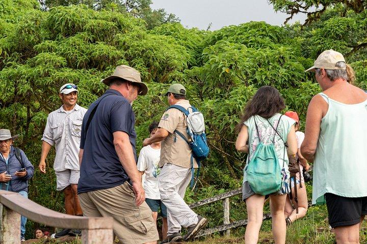 地下アドベンチャー：溶岩トンネルと巨大なカメ