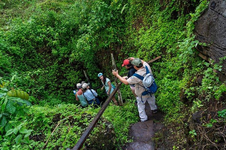 地下アドベンチャー：溶岩トンネルと巨大なカメ