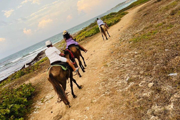 Punta Cana Horseback Adventure to Macao Beach