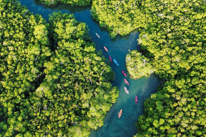 Sunset Kayak Tour in Cancun
