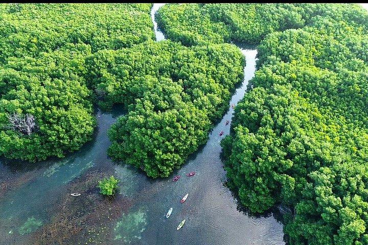 Sunset Kayak Tour in Cancun
