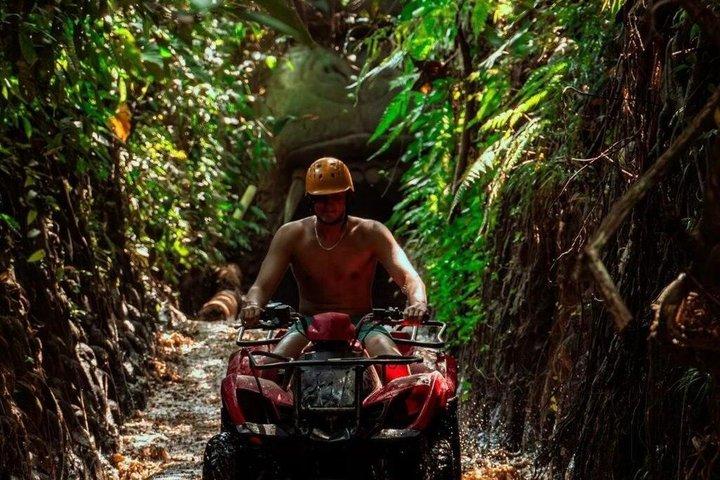 バリ・ウブドのジップラインとATVライドゴリラ寺院ランアドベンチャー