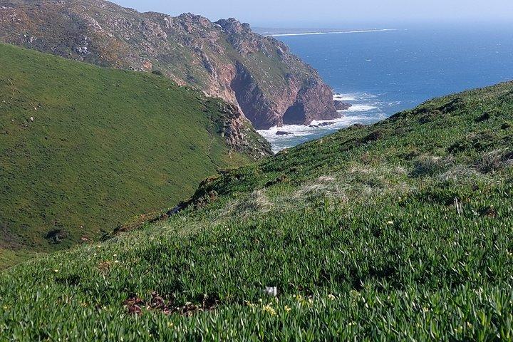 シントラのおすすめ日帰り旅行：ペーナ宮殿、レガレイラ、断崖、海