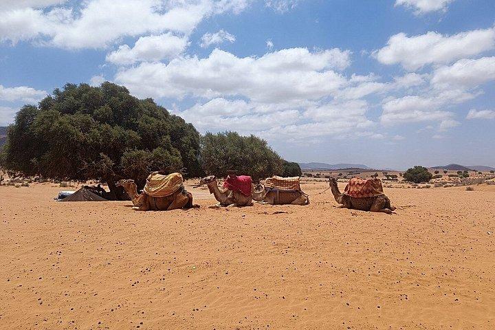 1 night in desert from Agadir