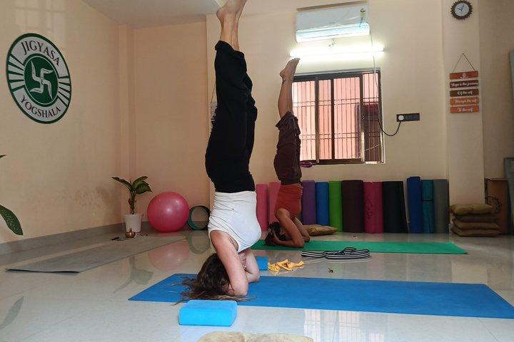 Hatha Vinyasa & Ashtanga Yoga Classes