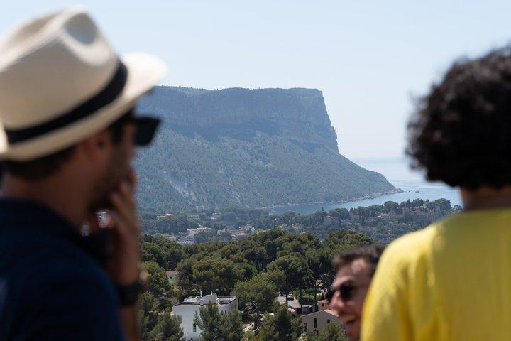 Escursione a terra per piccoli gruppi Marsiglia : Aix-EN-Provence & Cassis