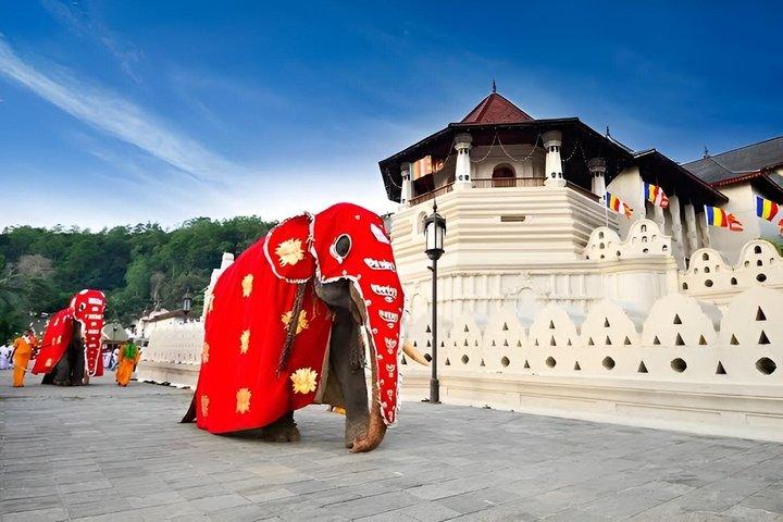 Kandy City Tour with Temples, Culture and Scenic Viewpoints