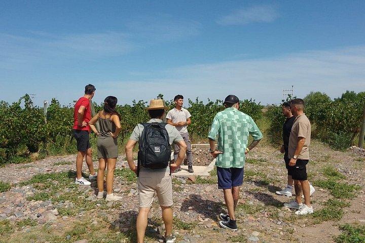 Bodegas con desayuno, blending game y almuerzo