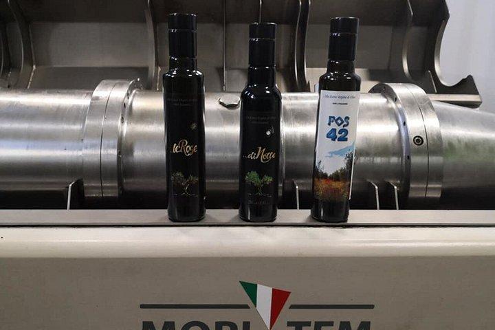 ローマ法王庁コンクラーヴェの歴史ビテルボ オイルテイスティング（ランチ付き）