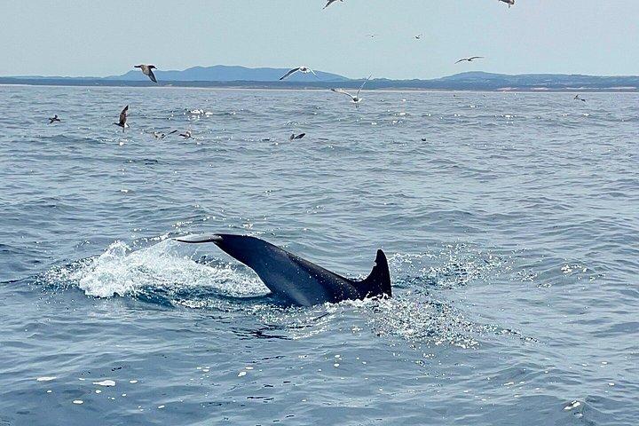 Tour privato da Lisbona a Tróia