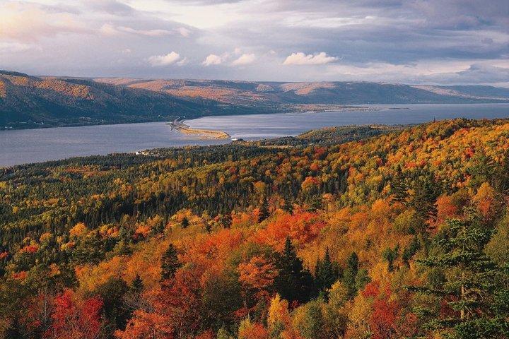 Excursion sur la côte Est du Cabot Trail