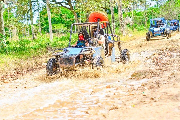 Buggy Ride Into the jungle with cave coffee & chocolate tasting