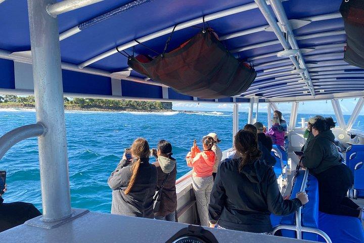 Adventure Rafting - Mooloolaba Turtle Tour
