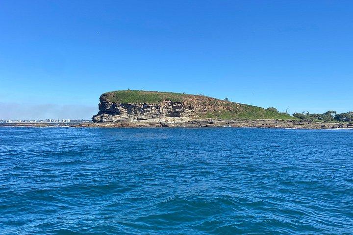 Adventure Rafting - Mooloolaba Turtle Tour