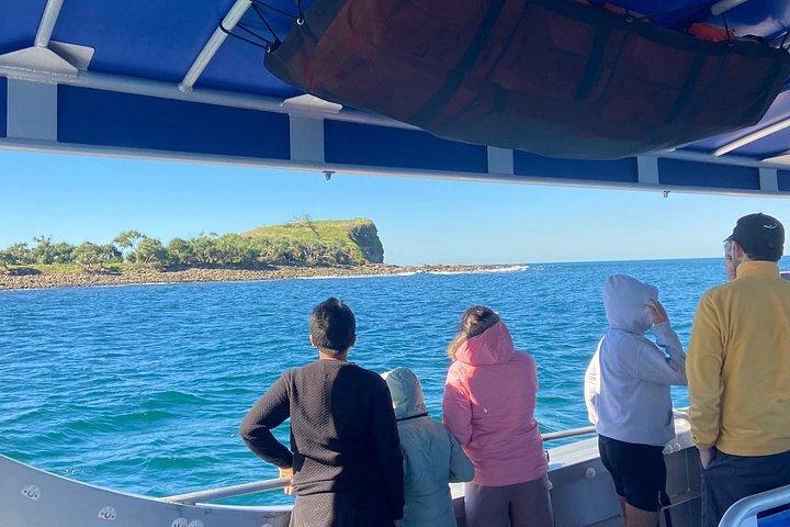 Adventure Rafting - Mooloolaba Turtle Tour